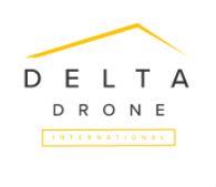 Delta Drone International image 1
